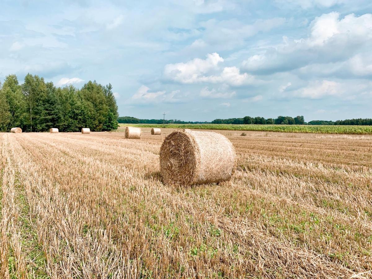 Agroturystyka Sielanka Przasnysz Luaran gambar