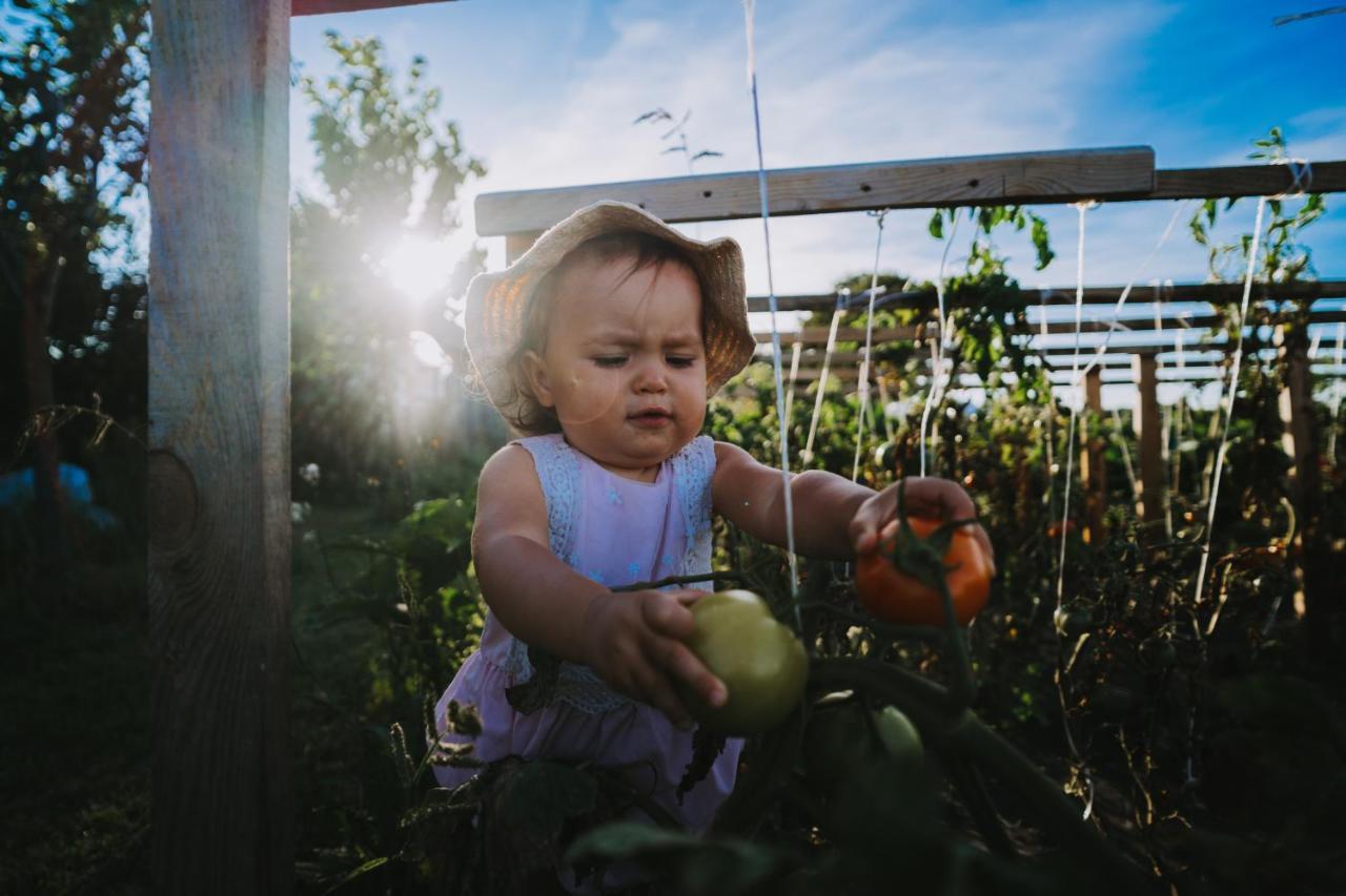 Agroturystyka Sielanka Przasnysz Luaran gambar